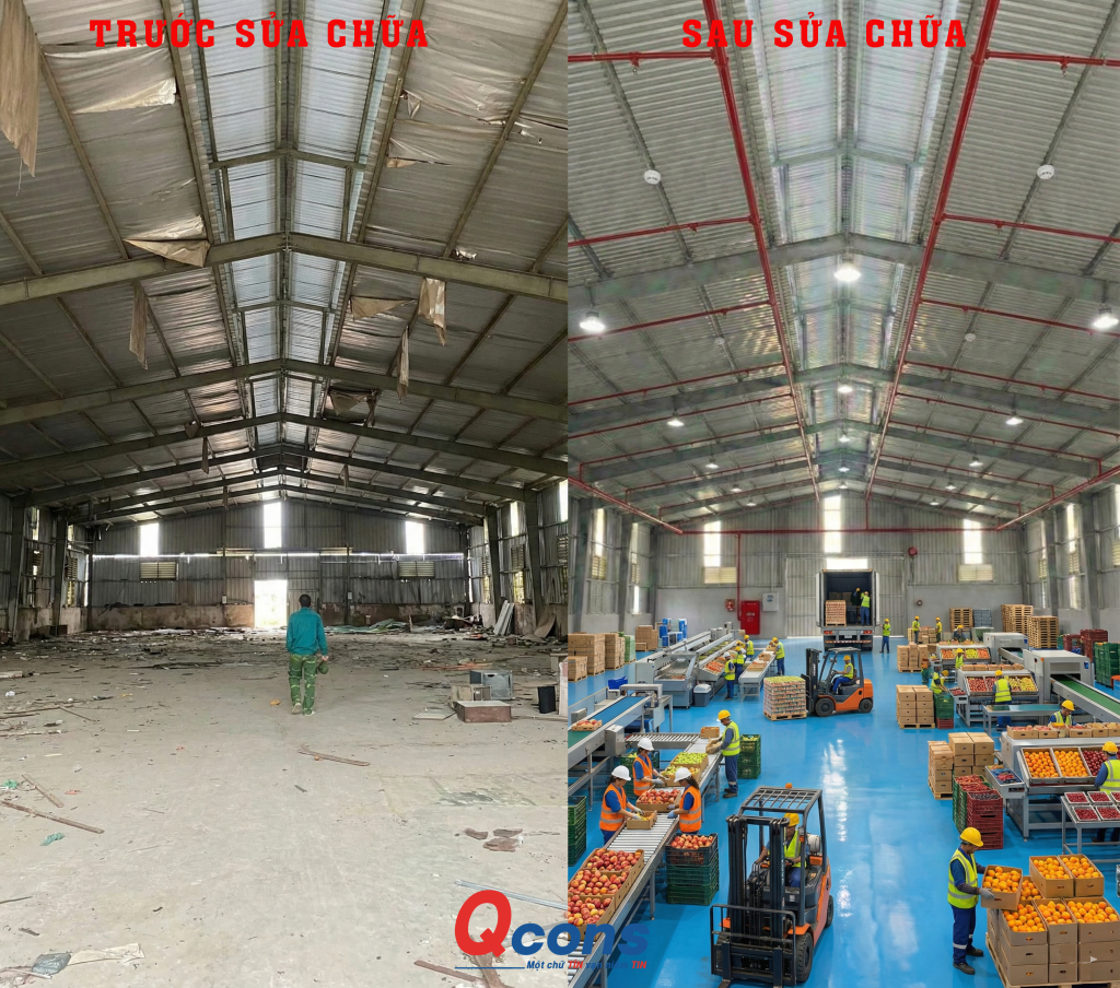 Nâng cấp xưởng cũ thành xưởng đóng gói trái cây